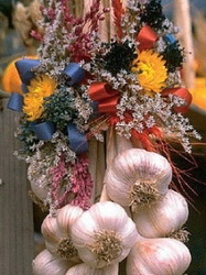 Saptamana Andreiului de Iarna