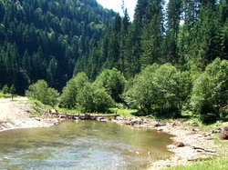 Scurgeri de ape de mina din perimetrul Valea Vinului