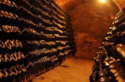 vladoianu 7574 resize