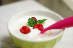 Iaurtul contribuie la buna functionare a organismului