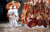 Animalul de provienenta al carnii 3