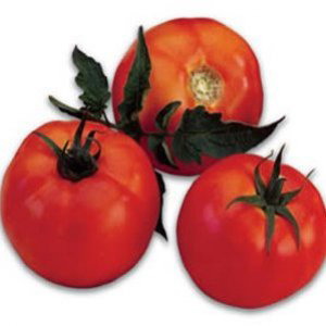 Hibrizi de tomate Galina F1