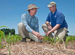 Bonusuri financiare de la UE prin asocierea fermierilor romani