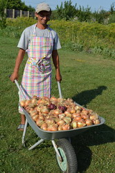 Legume Fericite in procesul pentru obtinerea certificarii ecologice