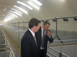 Zootehnia argesana pregatita sa exporte in China