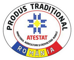 logo13noiembrie2013 resize