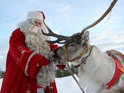 renul-lui-mos-craciun-craciun-laponia-oferte-laponia-vacanta-laponia hfpn