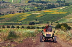 Un an bun agricol dar dezastru financiar in Salaj
