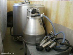 Micii producatorii de lapte sunt deja aliniati la normele europene