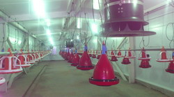 393928 327459580627369 831132556 n resize