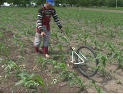 Bicicleta cultivator