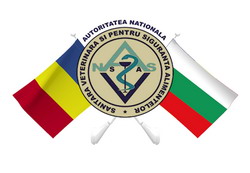 Intalnirea reprezentantilor ANSVSA cu cei ai Agentiei pentru Siguranta Alimentelor din Bulgaria