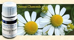 eGermanChamomileEO resize
