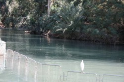 Fenomen interesant de ziua Bobotezei in Israel