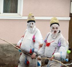 Obiceiul Fasangilor de la Cetea, Alba