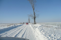 Cod galben de ninsori in Oltenia si Muntenia