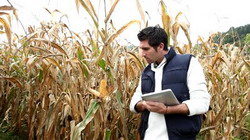 Firma Pioneer angajeaza promotori pentru zona Muntenia – Dobrogea