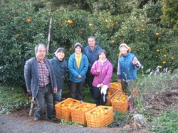 260902-organic-farm-host-family-minamata-japan resize
