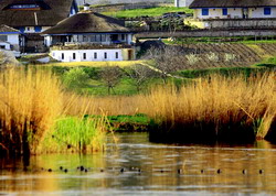 ‘Zonele Umede si agricultura’ – tema Zilei Mondiale a Zonelor Umede 2014