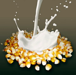 FAO – Indexul preturilor la alimente scade in ciuda cresterii preturilor la produsele lactate