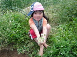 Promovarea si reteaua de produse ecologice din Japonia