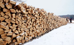 Barbatia se masoara in cantitatea de lemne taiate