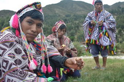 Soiuri de cartofi bio fortifianti