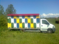 S-a dublat numarul de familii de albine prin Masura 141