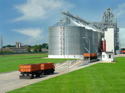 Exporturile agricole depasesc importurile in 2013