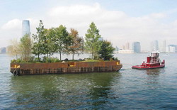 Revolutia albastra Hawai