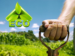 Invata cum poti avea o afacere de succes in agricultura ecologica – curs acreditat ANC