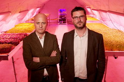 Growing-Underground-London-Farm-002 resize