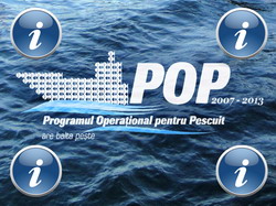 Instructiuni pentru beneficiarii privati in cadrul proiectelor finantate POP 2007-2013