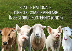 S-a reglementat situatia unor beneficiari ai Platilor Directe Complementare in Sectorul Zootehnic