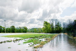 Intensificarea masurilor de protectie impotriva inundatiilor si al tranzitiei catre taxe mai ecologice