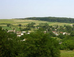 Acte false pentru a obtine fonduri pentru Asociatia producatorilor agricoli din Racova, jud. Bacau