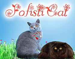 „Martisorul Pisicilor” – Expozitia Internationala Felina de Primavara SofistiCAT