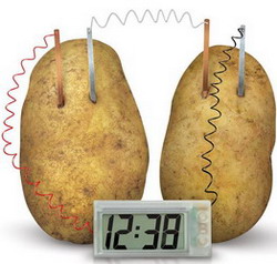 Toysmith-4M-Potato-Clock resize resize