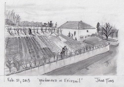 Tot mai multi gradinari tin un jurnal de gradinarit