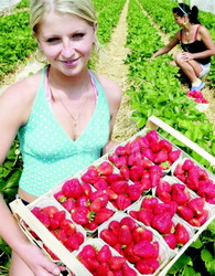 large 01-3-10--2-35-06capsunari resize