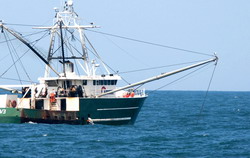 Program de instruire pentru 150 de pescari autorizati din zona Marii Negre