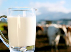 raw-milk2