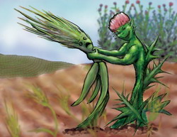 Curatirea de spinii patimilor