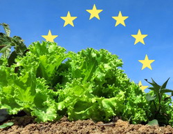 Planul de actiune pentru viitorul productiei ecologice in Uniunea Europeana