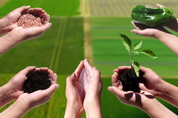 Finala competitiei AgroStart Challenge