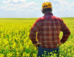 Promulgarea Legii Camerelor pentru agricultura, industrie alimentara, piscicultura, silvicultura si dezvoltare rurala