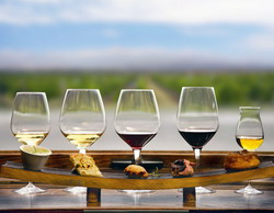 Concursul National de Vinuri si Bauturi Alcoolice Editia a IX-a