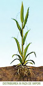 Distribuirea in faza de vapori