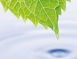 Energiile regenerabile pentru a sasea oara in centrul atentiei la Expo Arad