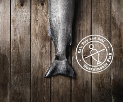 UE adopta noul Fond european pentru pescuit si afaceri maritime